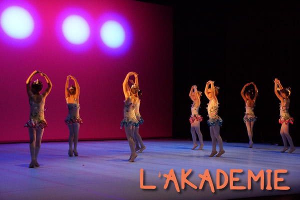 akademie